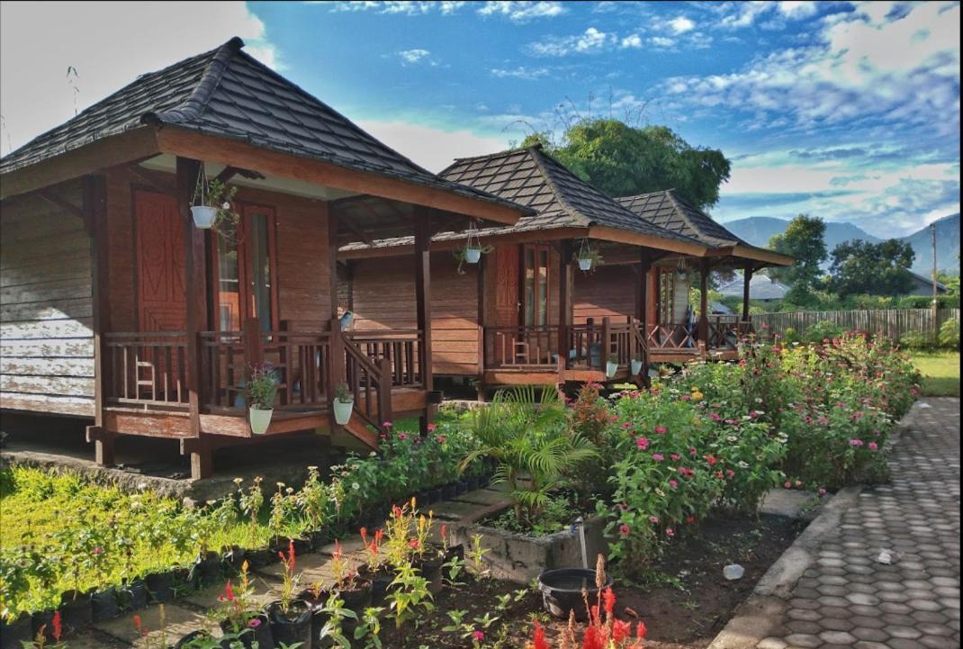 Puncak Rinjani Lodge Sembalunlawang Exterior photo